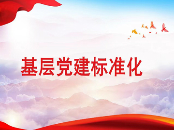 基层党建标准化